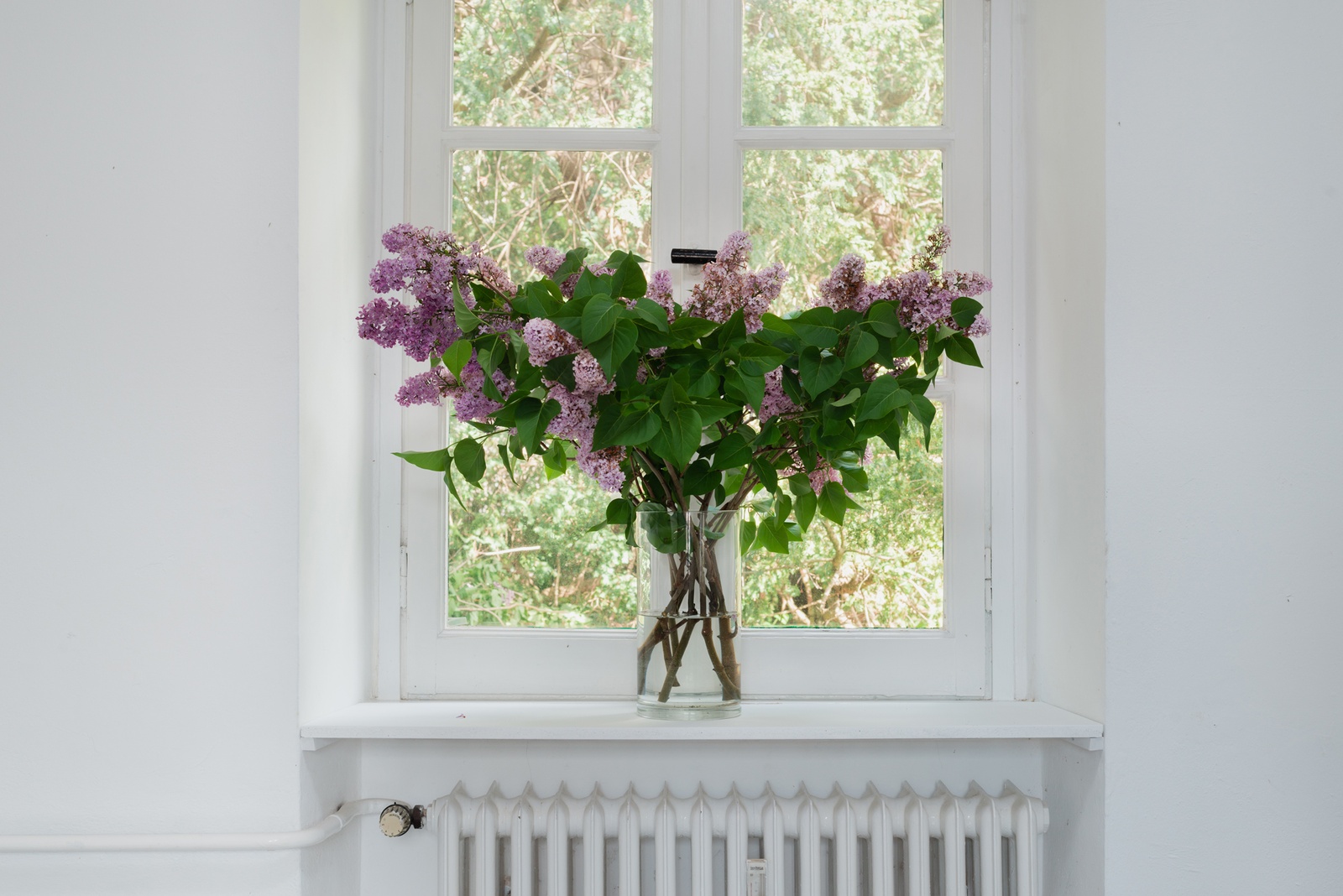 [In a white exhibition space, a flower arrangement rests on a window ledge above a heater. The arrangement features tree branches with purple lilac blossoms and dark green leaves.]