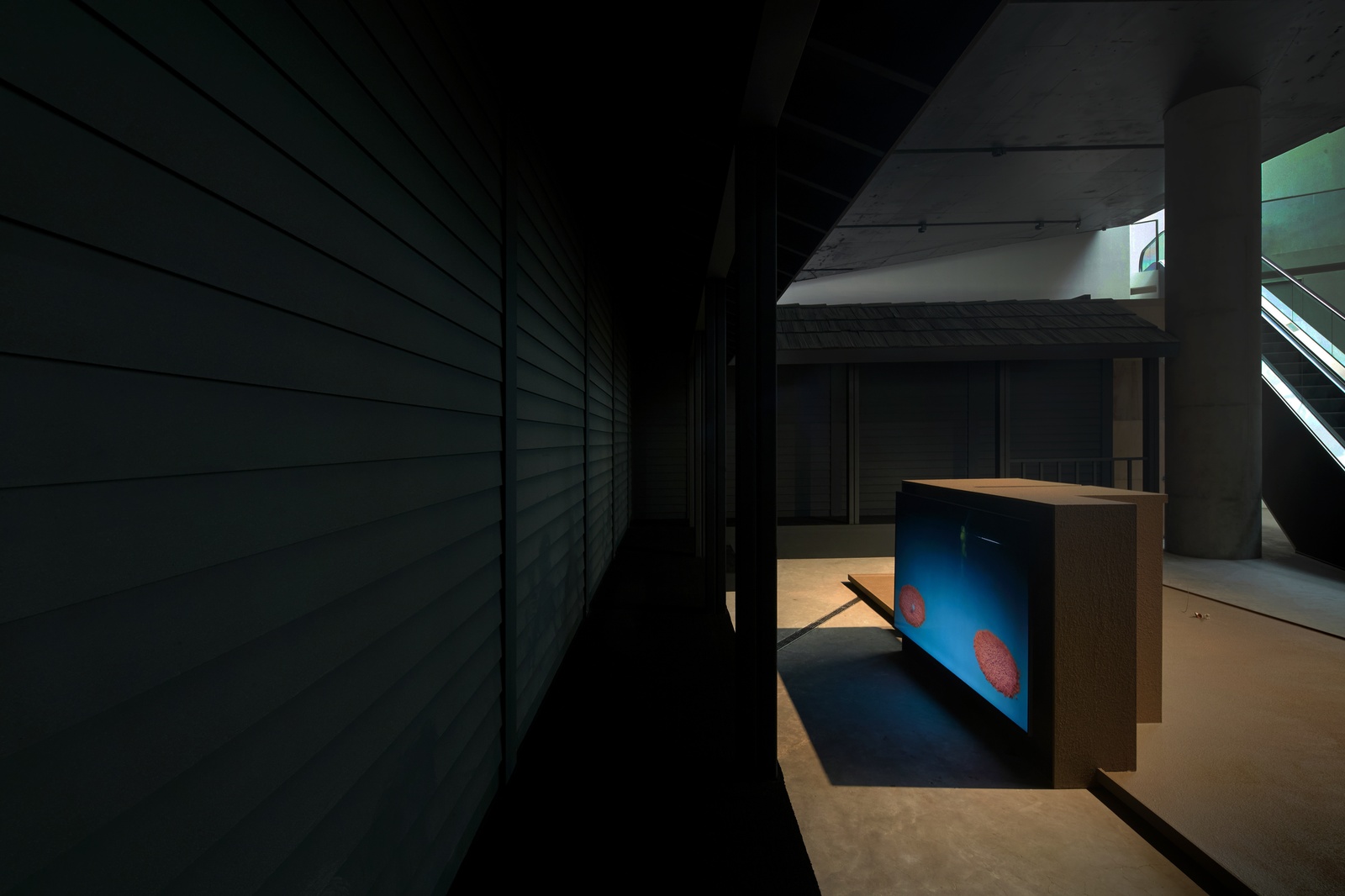 Stella Zhong: Dream Screen. September 5 – December 29, 2024
