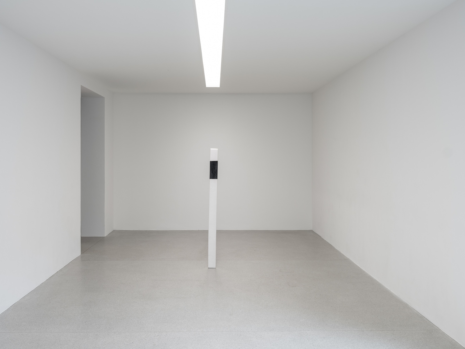 Alexandra Bircken: SomaSemaSoma. June 8 – August 31, 2025